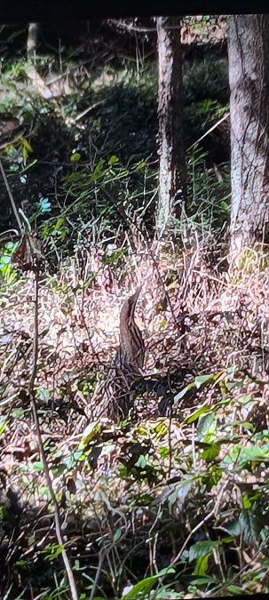 Tarabuso  - Paolo Del Mestre (FVG)
