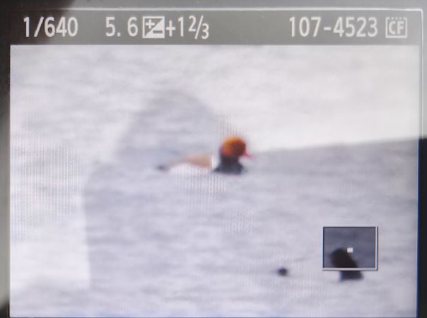 hełmiatka  - Tadeusz Sobuś