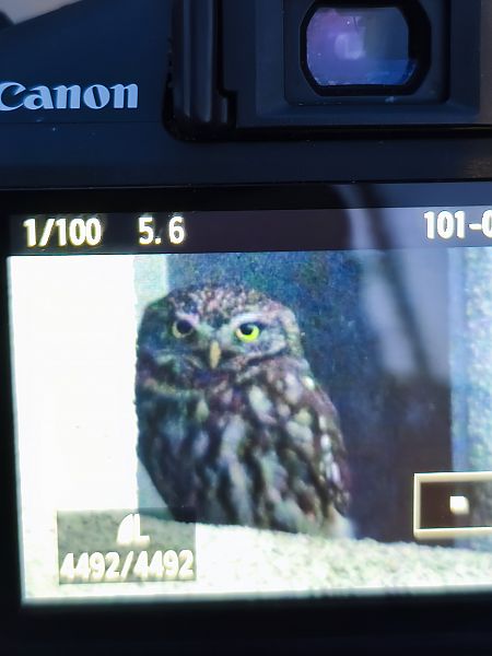 pójdźka  - Łukasz Budny