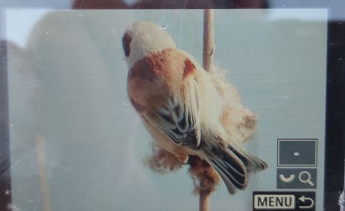 remiz  - Stanisław Turowski