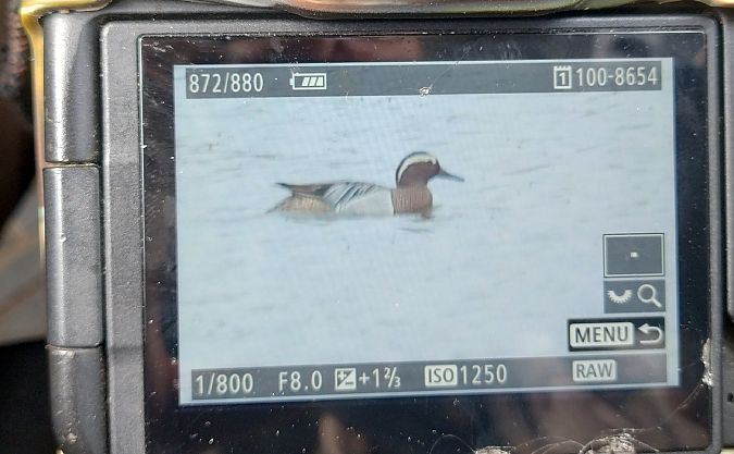 cyranka  - Stanisław Turowski