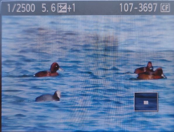 podgorzałka  - Tadeusz Sobuś