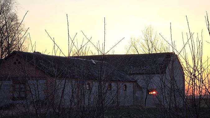 Steinkauz  - Przemysław Stachyra