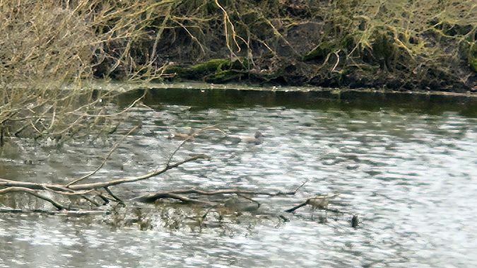 krakwa  - Anna Kamilewicz-Wicik