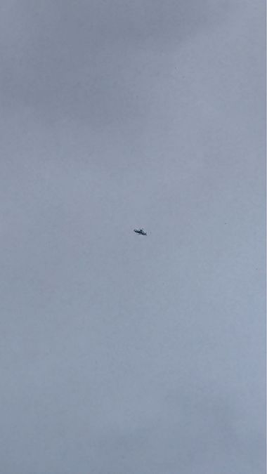 raróg  - Maciej Rębiś