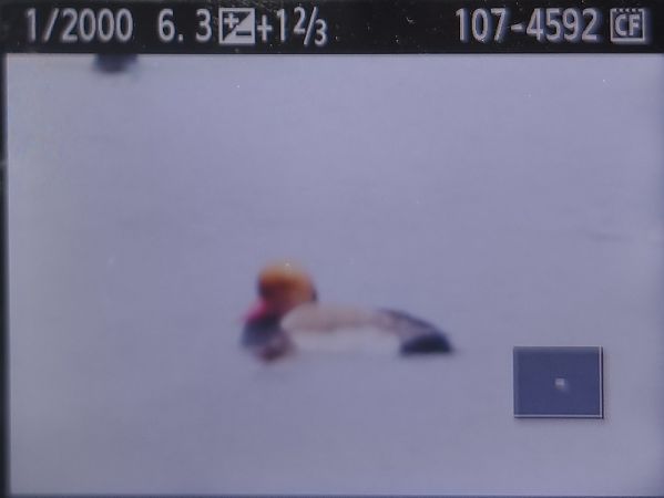 hełmiatka  - Tadeusz Sobuś