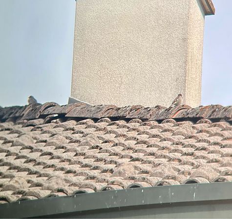 Passera oltremontana  - Krzysztof Lis