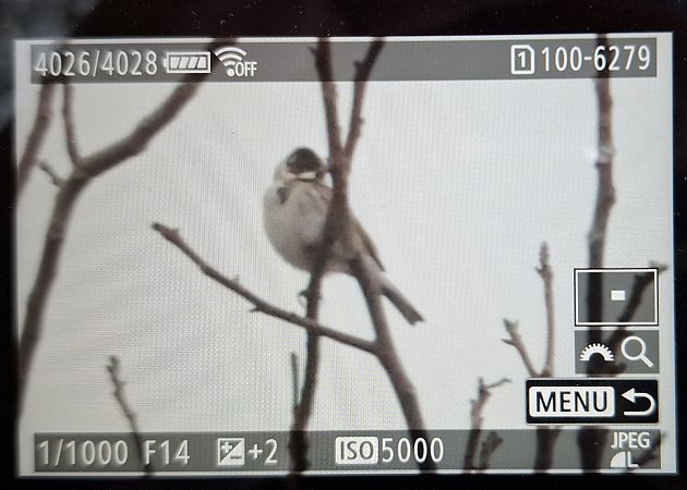 potrzos  - Tomasz Doroń