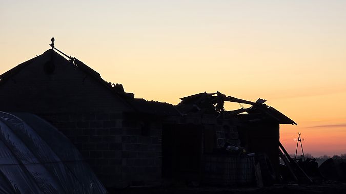 Steinkauz  - Przemysław Stachyra