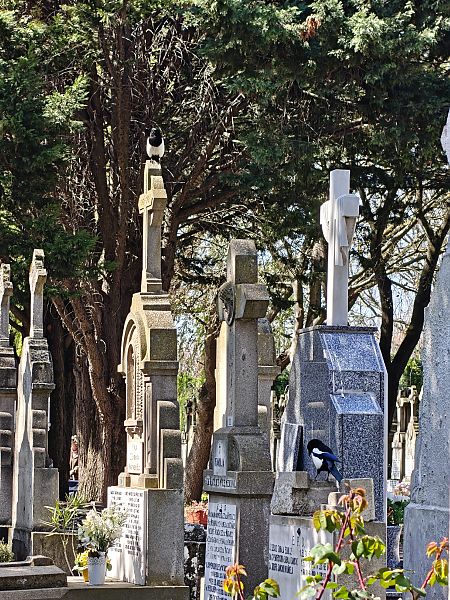 Mika  - Vanesa López Vázquez