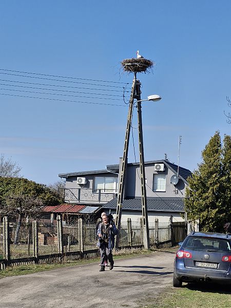 bocian biały  - Tomasz Zarzycki