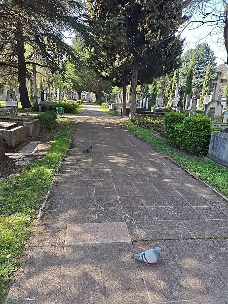 Etxe-usoa  - Vanesa López Vázquez