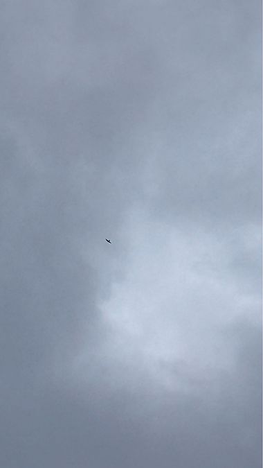 raróg  - Maciej Rębiś