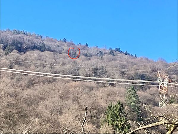 Biancone  - Gc Giorgio Bonomi