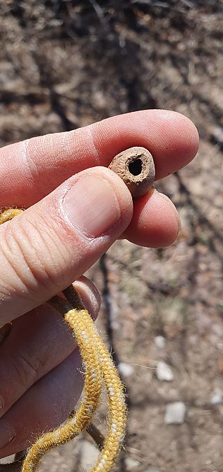 Moscardino  - Roberto Toffoli