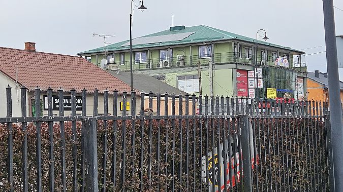 wróbel  - Anna Kamilewicz-Wicik