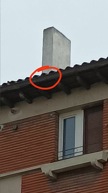 Bele txikia  - Azaitz Unanue