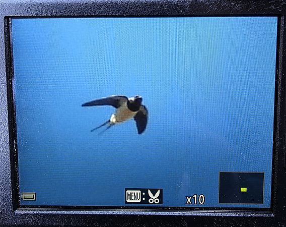 dymówka  - Robert Locman