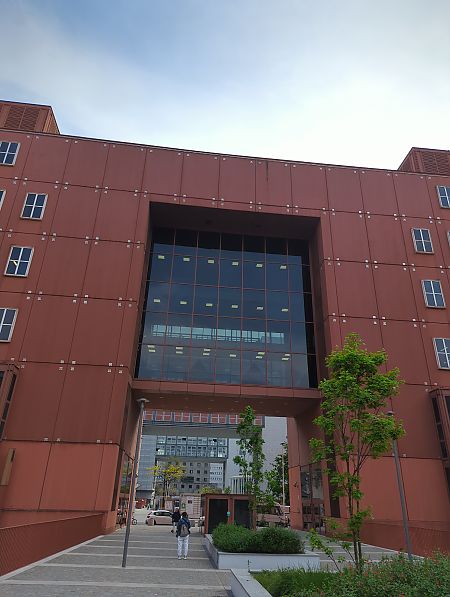 Rondone maggiore  - Andrea Galassini