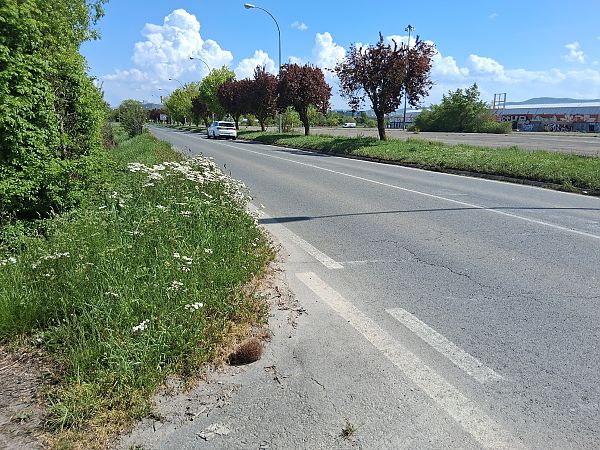 Triku arrunta  - Eraztun Berdeko Basozainak Guardas Anillo Verde