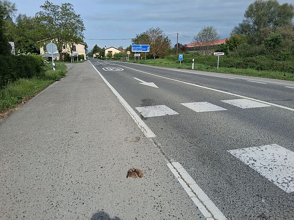 Triku arrunta  - Eraztun Berdeko Basozainak Guardas Anillo Verde