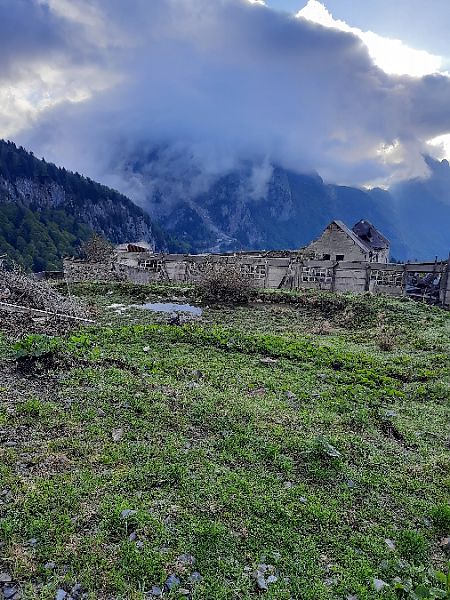 Germano reale  - Marco Reputin (FVG)