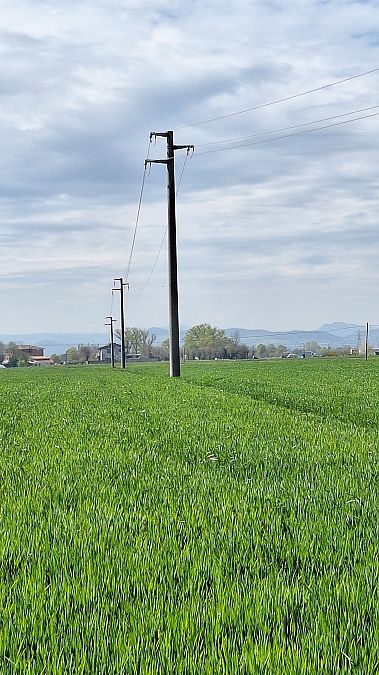 Taccola  - Emanuele Caprara