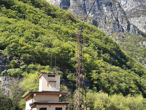 Nibbio bruno  - Paolo Pedrini