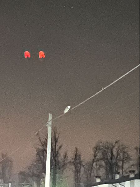 Barbagianni  - Grazia Casetta