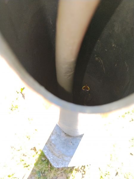 Cinciallegra  - Luigi Vatta (FVG)