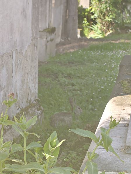 Untzi  - Vanesa López Vázquez