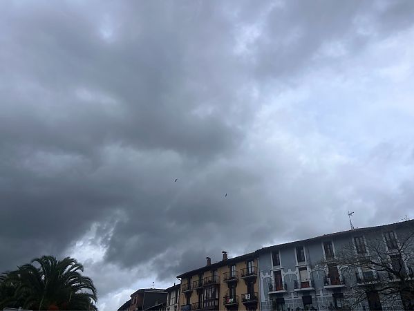 Sai zuria  - Esther Lopez