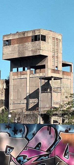 Gabbiano reale  - Marco Scutellà