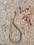 Ladder snake (Zamenis scalaris) © Roger Arquimbau