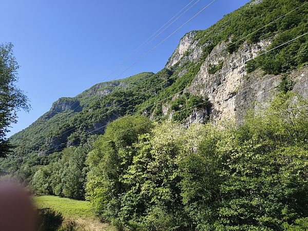 Nibbio bruno  - Paolo Pedrini