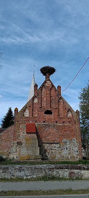 bocian biały  - Marcin Sołowiej
