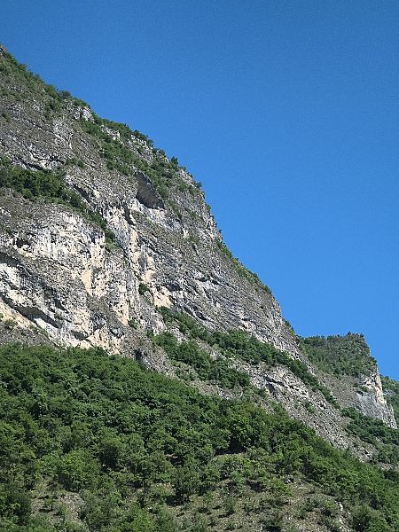 Nibbio bruno  - Paolo Pedrini