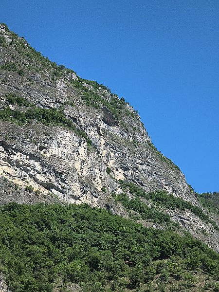 Nibbio bruno  - Paolo Pedrini