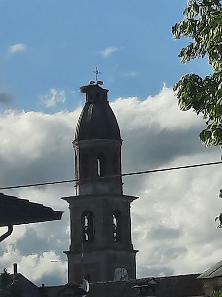 Cicogna bianca  - Bassano Riboni