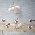 Common Shelduck (Tadorna tadorna) © hidden author