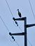 White Stork (Ciconia ciconia) © Matteo Faggi