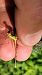 Lestes barbarus  - Roberto Fabbri