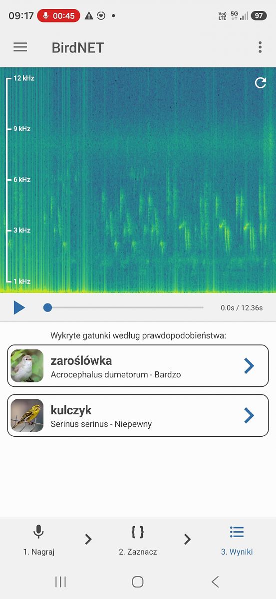 zaroślówka  - Ewa Szczepankiewicz
