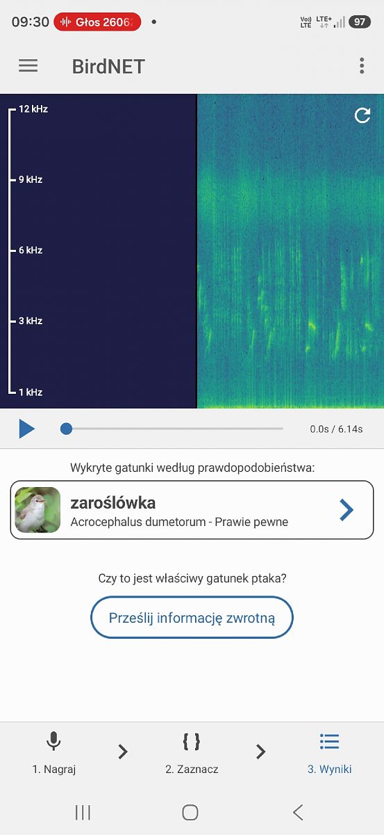Buschrohrsänger  - Ewa Szczepankiewicz