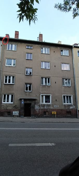 jerzyk  - Marcin Sołowiej