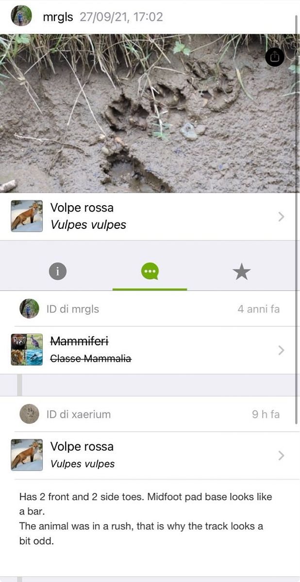 Volpe  - Maria Rita Gelso