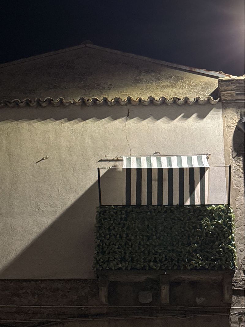 Geco comune  - Antonio Mazzone