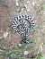 Vipera comune (Vipera aspis) © Daniele Baroni
