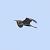 Airone rosso (Ardea purpurea) © Tommaso Bonora