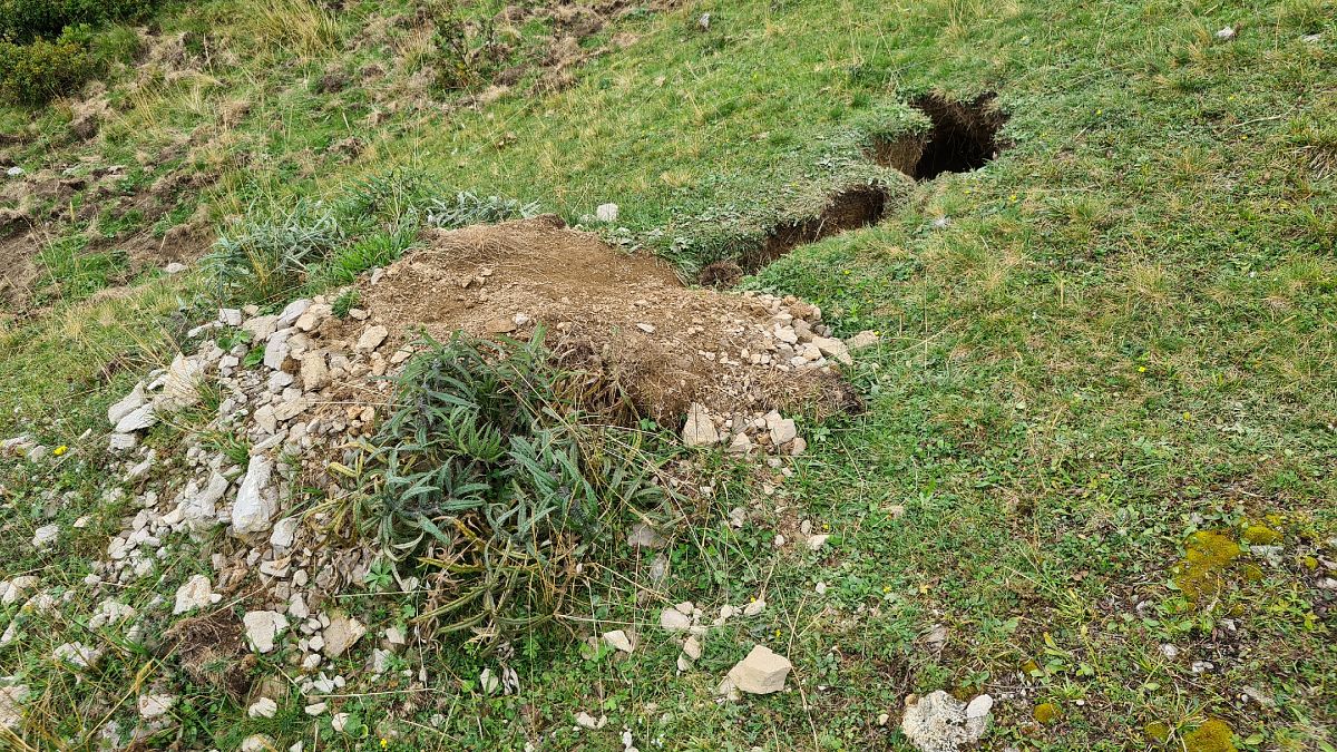 Marmotta  - Fabrizio Florit (FVG)